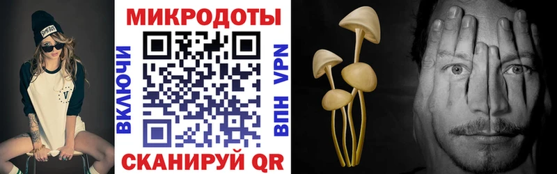Псилоцибиновые грибы MAGIC MUSHROOMS  купить  цена  Омск 